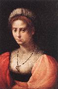 PULIGO, Domenico Portrait of a Lady agf oil on canvas